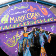 A colorful image of the Mardi Gras parade at SeaWorld Orlando, showcasing the festive atmosphere with stilt walkers, bead captains, and musicians. Guests can immerse themselves in the sounds and flavors of New Orleans, with the park transformed into a lively festival from February 16th to 26th. Despite the absence of unique animal shows and presentations, visitors can still enjoy a pop-up parade, live music, street party, and a variety of food offerings. Join the celebration and have a blast at SeaWorld Orlando's Mardi Gras.