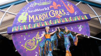A colorful image of the Mardi Gras parade at SeaWorld Orlando, showcasing the festive atmosphere with stilt walkers, bead captains, and musicians. Guests can immerse themselves in the sounds and flavors of New Orleans, with the park transformed into a lively festival from February 16th to 26th. Despite the absence of unique animal shows and presentations, visitors can still enjoy a pop-up parade, live music, street party, and a variety of food offerings. Join the celebration and have a blast at SeaWorld Orlando's Mardi Gras.