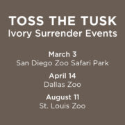 Toss the Tusk, ivory surrender events, elephant poaching, illegal trade, Association of Zoos & Aquariums, AZA’s Wildlife Trafficking Alliance, U.S. Fish & Wildlife Service, San Diego Zoo, Dallas Zoo, St. Louis Zoo, elephant conservation, ivory trade