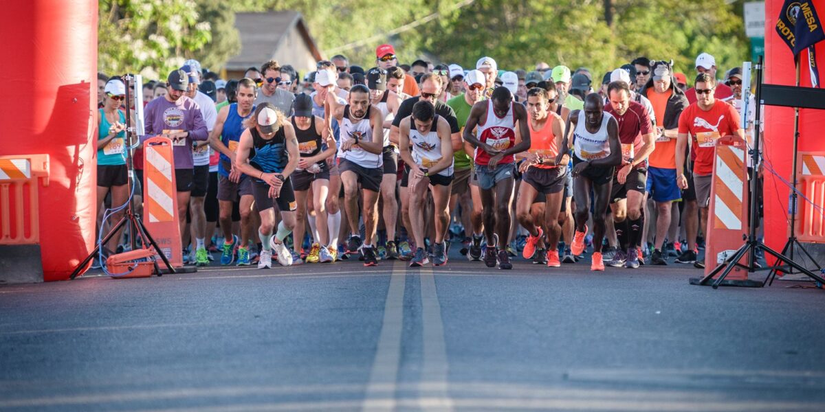 Runners at the starting line of Run for the Zoo 2023 race