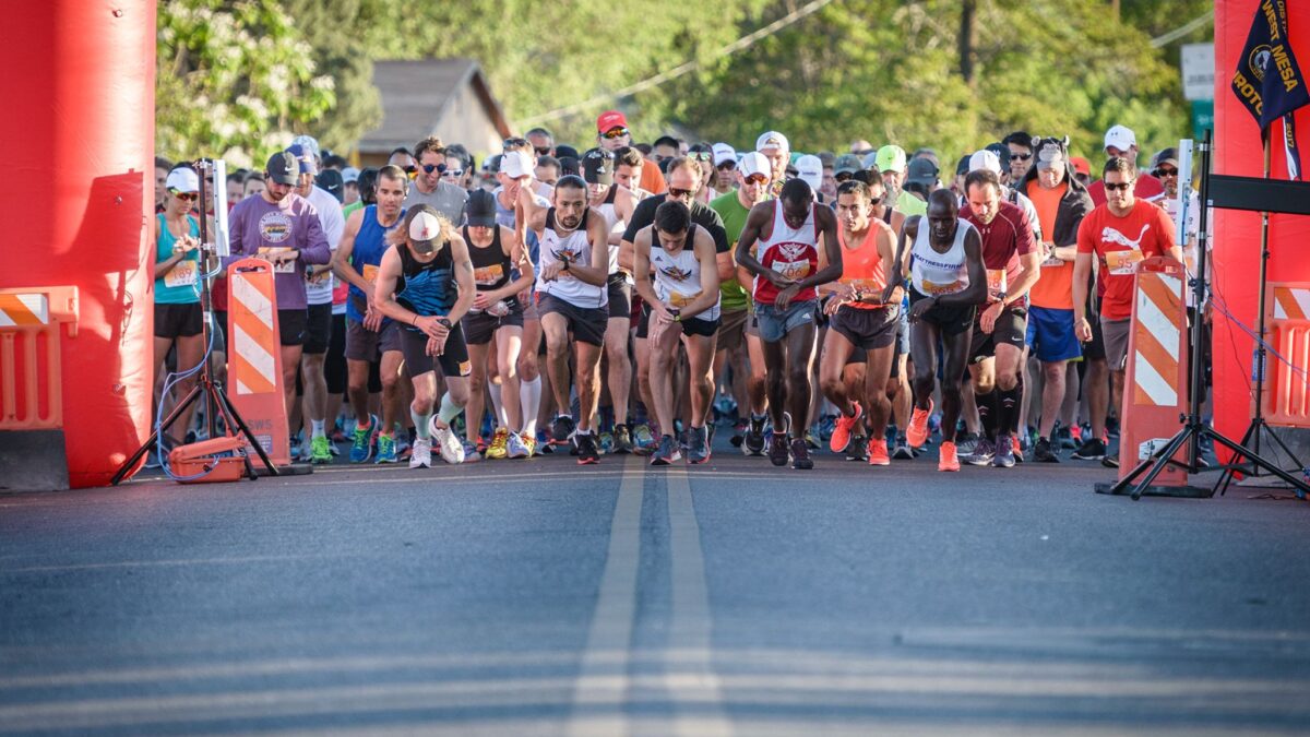 Runners at the starting line of Run for the Zoo 2023 race