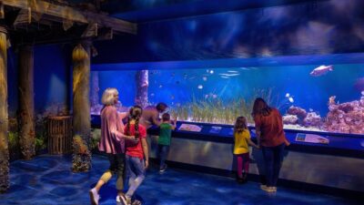 Families enjoying the new Hatchling Harbor exhibit at Newport Aquarium