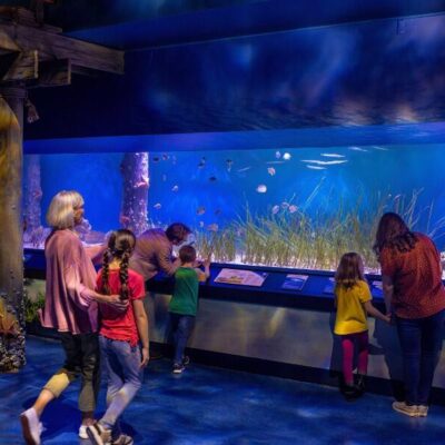 Families enjoying the new Hatchling Harbor exhibit at Newport Aquarium