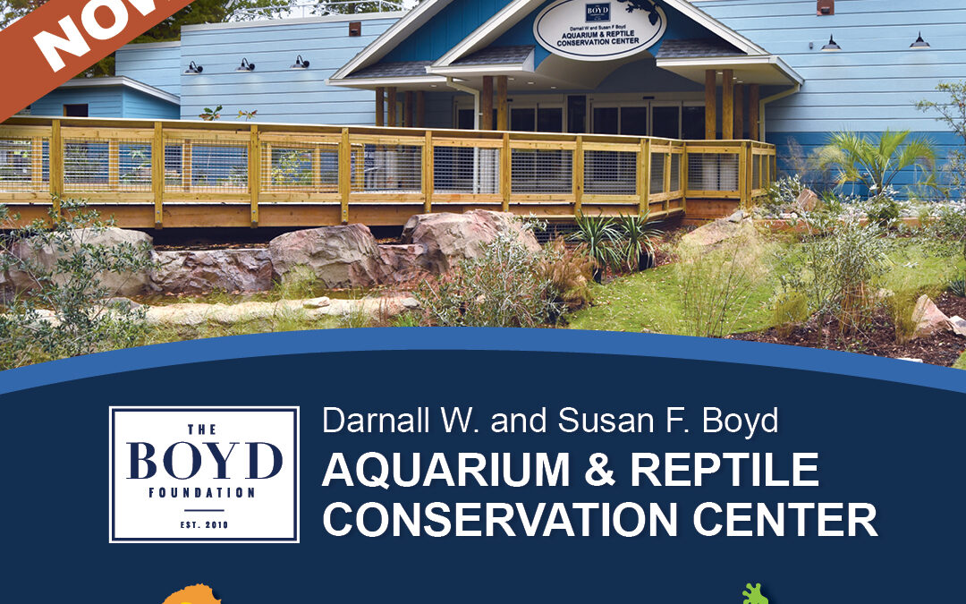 New Aquarium and Reptile Conservation Center at Riverbanks Zoo