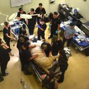 A tiger lies anesthetized on a treatment table surrounded by a dozen veterinary and dental staff in a clinic room.
