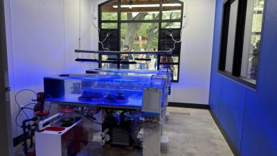 Rows of shallow coral propagation tanks lit blue sit on white benches inside the Brewer Ocean Conservation Lab, with guests visible through an arched window.
