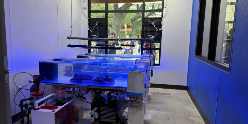Rows of shallow coral propagation tanks lit blue sit on white benches inside the Brewer Ocean Conservation Lab, with guests visible through an arched window.