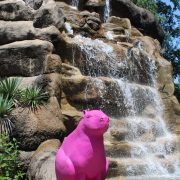 A bright pink capybara sculpture sits on a rock in front of a tiered waterfall at the Little Rock Zoo.
