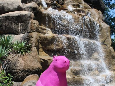 A bright pink capybara sculpture sits on a rock in front of a tiered waterfall at the Little Rock Zoo.