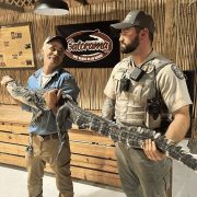 A Gatorama staff member and a Florida wildlife officer hold a long alligator between them in front of a Gatorama sign.