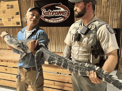 A Gatorama staff member and a Florida wildlife officer hold a long alligator between them in front of a Gatorama sign.