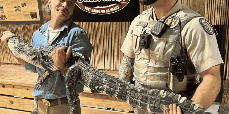 A Gatorama staff member and a Florida wildlife officer hold a long alligator between them in front of a Gatorama sign.