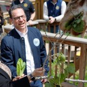 Governor Josh Shapiro and First Lady Lori Shapiro hold leafy browse up to a giraffe leaning over a wooden railing.