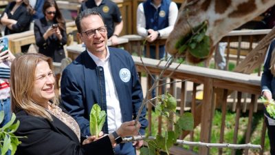 Governor Josh Shapiro and First Lady Lori Shapiro hold leafy browse up to a giraffe leaning over a wooden railing.