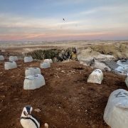 Dozens of numbered white artificial penguin nest domes set into red earth on a Peruvian headland above the sea at dusk, with a penguin decoy in the foreground.