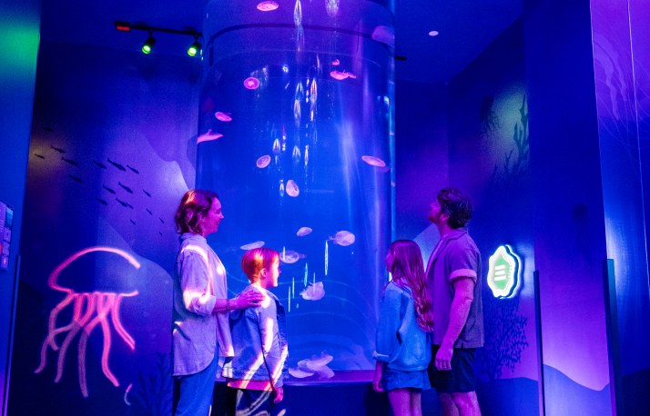 A family stands in a darkened blue gallery watching moon jellies drift inside a tall cylindrical aquarium.