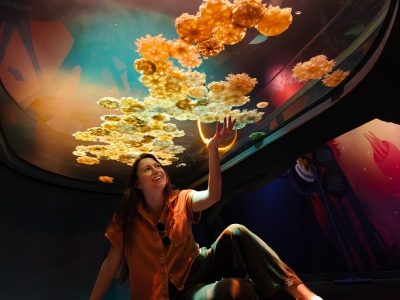 A visitor sits beneath a curved overhead tank filled with golden moon jellies, reaching a hand up toward the glass in a darkened gallery.