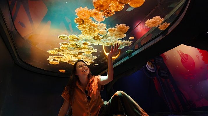 A visitor sits beneath a curved overhead tank filled with golden moon jellies, reaching a hand up toward the glass in a darkened gallery.