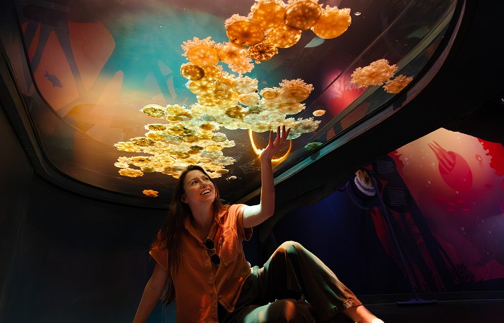 A visitor sits beneath a curved overhead tank filled with golden moon jellies, reaching a hand up toward the glass in a darkened gallery.