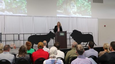 A woman speaks at a podium in front of a seated audience, with lion silhouettes and a projected lion image behind her.