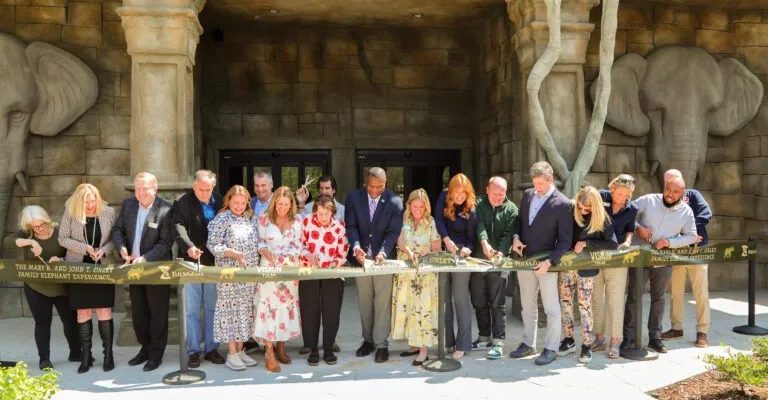 A long line of people cut a ribbon in front of the stone elephant-head facade of Tulsa Zoo's renovated elephant building.