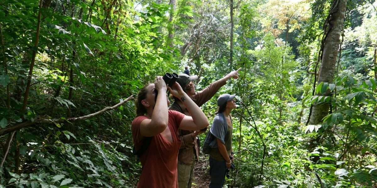 Three field researchers stand on a narrow trail in dense green forest in eastern El Salvador, one scanning the canopy through binoculars while another points upward.