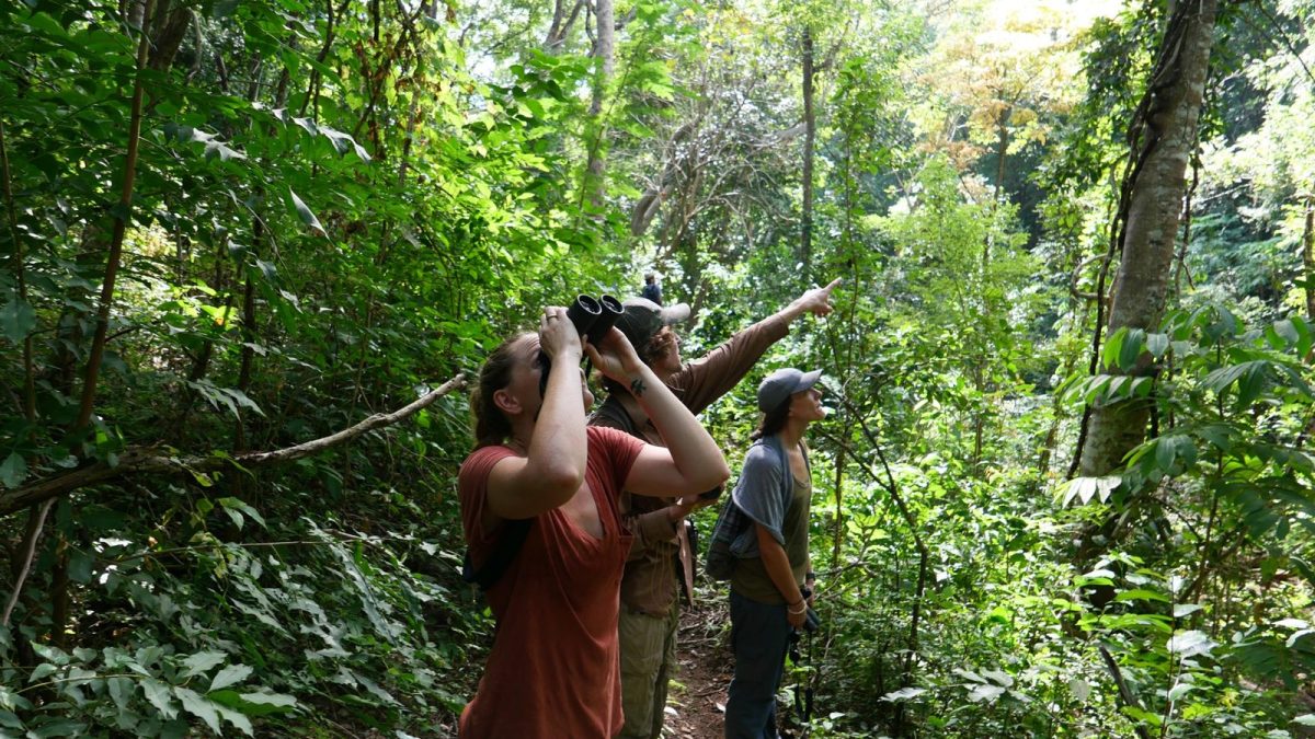 Three field researchers stand on a narrow trail in dense green forest in eastern El Salvador, one scanning the canopy through binoculars while another points upward.