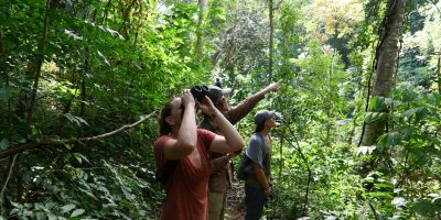Three field researchers stand on a narrow trail in dense green forest in eastern El Salvador, one scanning the canopy through binoculars while another points upward.