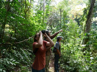 Three field researchers stand on a narrow trail in dense green forest in eastern El Salvador, one scanning the canopy through binoculars while another points upward.