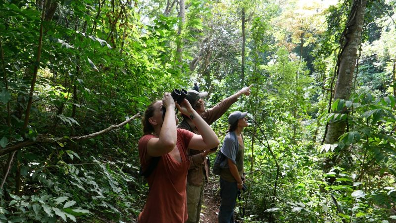 Three field researchers stand on a narrow trail in dense green forest in eastern El Salvador, one scanning the canopy through binoculars while another points upward.