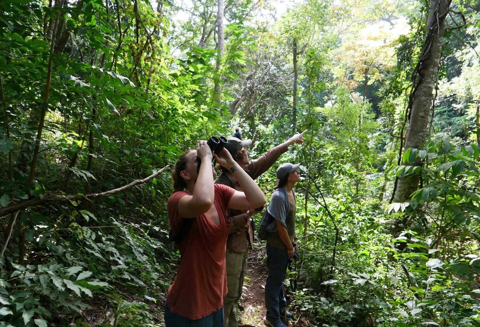 Three field researchers stand on a narrow trail in dense green forest in eastern El Salvador, one scanning the canopy through binoculars while another points upward.