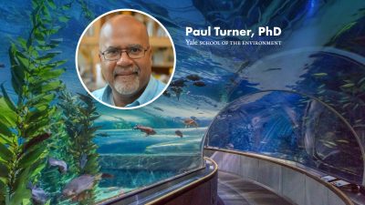 A portrait of Paul Turner, PhD, of the Yale School of the Environment set over a photograph of the aquarium's underwater viewing tunnel.