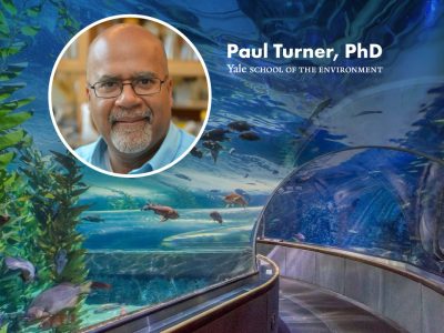 A portrait of Paul Turner, PhD, of the Yale School of the Environment set over a photograph of the aquarium's underwater viewing tunnel.