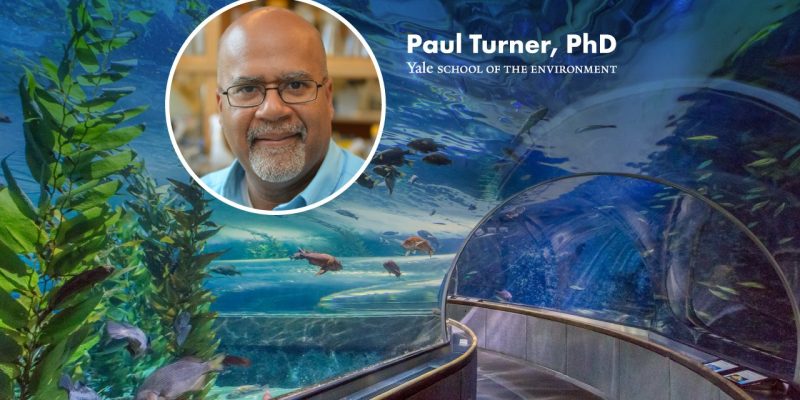 A portrait of Paul Turner, PhD, of the Yale School of the Environment set over a photograph of the aquarium's underwater viewing tunnel.