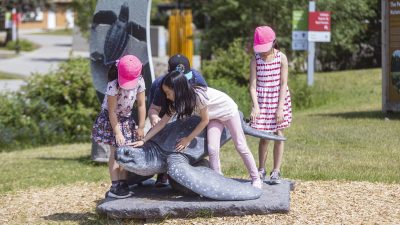 Four children climb on a life-size sea turtle sculpture along an outdoor trail at the Virginia Aquarium.