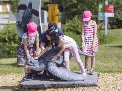 Four children climb on a life-size sea turtle sculpture along an outdoor trail at the Virginia Aquarium.