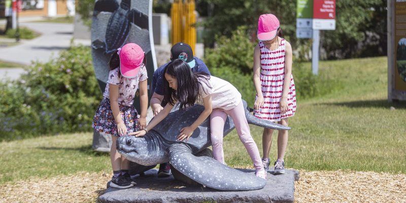 Four children climb on a life-size sea turtle sculpture along an outdoor trail at the Virginia Aquarium.