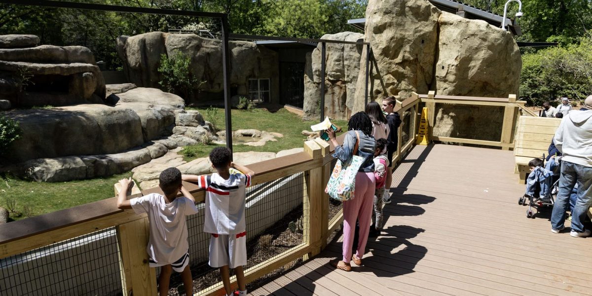 Visitors including two boys at a wooden railing look out over the grassy African lion habitat at Zoo Atlanta from a raised boardwalk.
