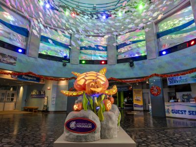 A glowing carved sea turtle and pumpkin display lit up in an aquarium atrium