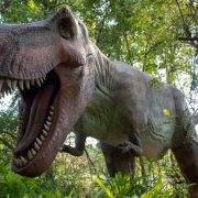 A life-sized animatronic Tyrannosaurus rex with its jaws open stands among green trees and ferns at San Francisco Zoo.