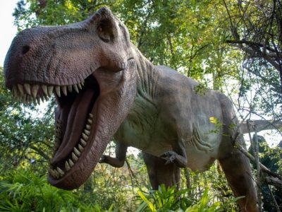 A life-sized animatronic Tyrannosaurus rex with its jaws open stands among green trees and ferns at San Francisco Zoo.