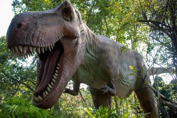 A life-sized animatronic Tyrannosaurus rex with its jaws open stands among green trees and ferns at San Francisco Zoo.