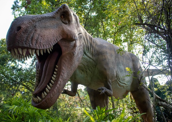 A life-sized animatronic Tyrannosaurus rex with its jaws open stands among green trees and ferns at San Francisco Zoo.