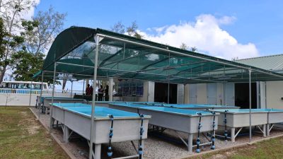 A row of shallow rectangular coral raceway tanks on metal frames stands under a green shade canopy beside a low white building.