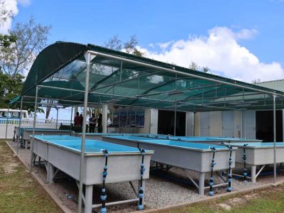 A row of shallow rectangular coral raceway tanks on metal frames stands under a green shade canopy beside a low white building.
