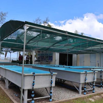 A row of shallow rectangular coral raceway tanks on metal frames stands under a green shade canopy beside a low white building.