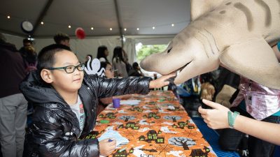 A boy in a black puffer jacket and glasses reaches out to touch the snout of a large shark puppet held across a table covered in an orange Halloween tablecloth.