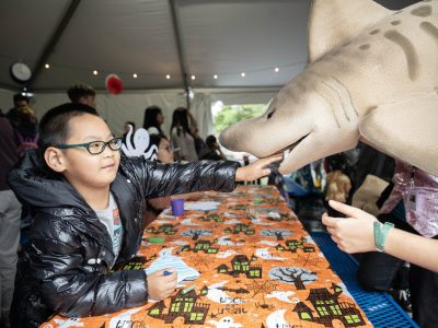 A boy in a black puffer jacket and glasses reaches out to touch the snout of a large shark puppet held across a table covered in an orange Halloween tablecloth.