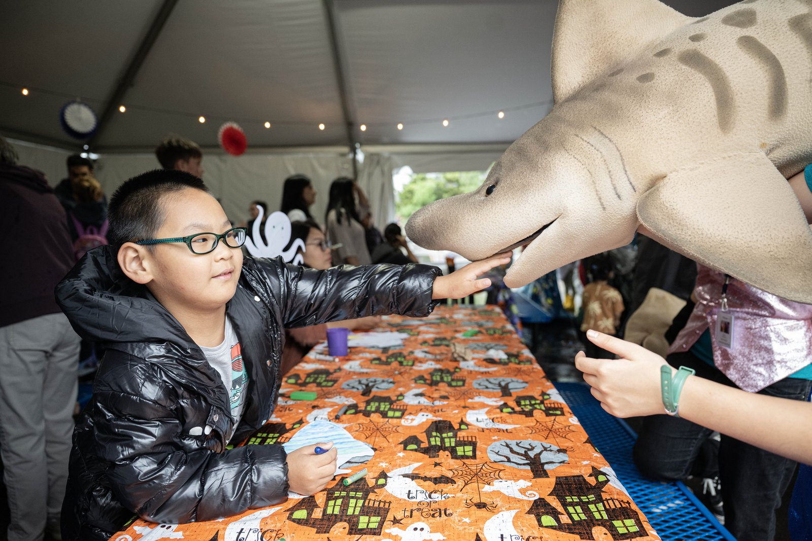 A boy in a black puffer jacket and glasses reaches out to touch the snout of a large shark puppet held across a table covered in an orange Halloween tablecloth.