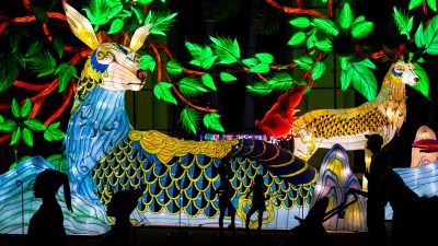 Visitors in silhouette walk past enormous illuminated lantern sculptures of deer-like creatures among glowing green foliage at night.